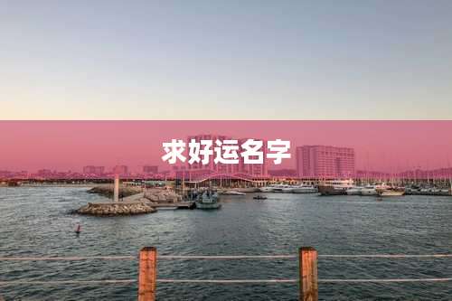 求好运名字