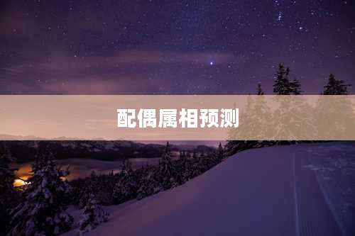 配偶属相预测