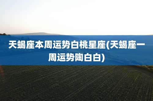 天蝎座本周运势白桃星座(天蝎座一周运势陶白白)