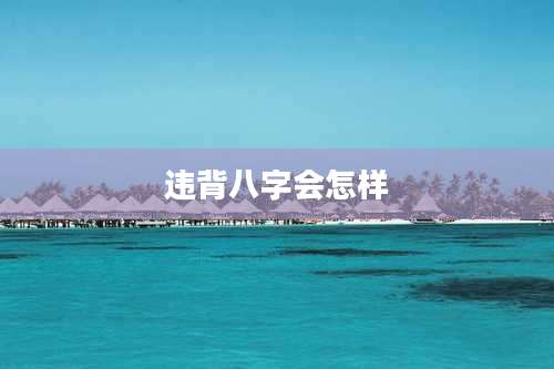 违背八字会怎样