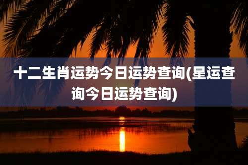 十二生肖运势今日运势查询(星运查询今日运势查询)