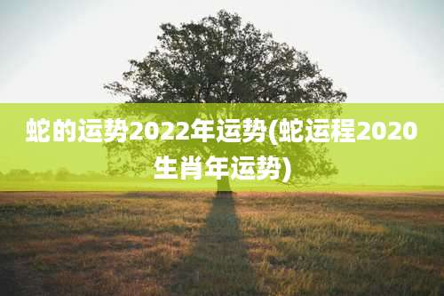 蛇的运势2022年运势(蛇运程2020生肖年运势)