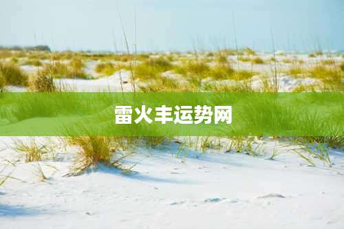 雷火丰运势网