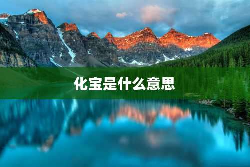 化宝是什么意思