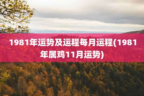 1981年运势及运程每月运程(1981年属鸡11月运势)