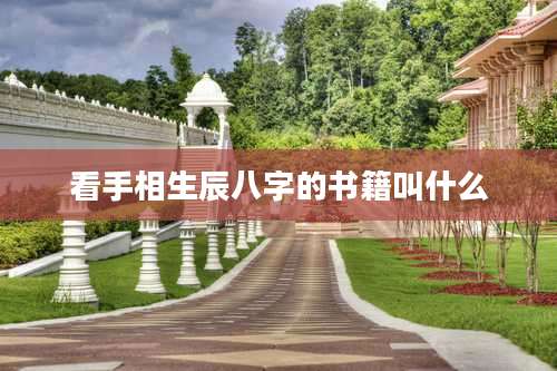 看手相生辰八字的书籍叫什么