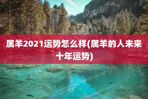 属羊2021运势怎么样(属羊的人未来十年运势)