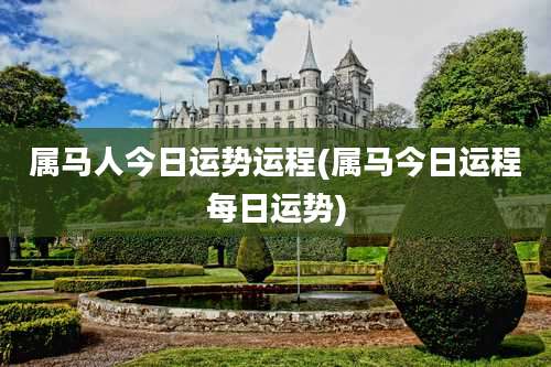 属马人今日运势运程(属马今日运程每日运势)