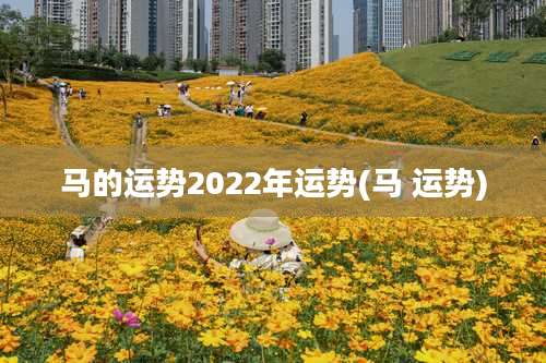 马的运势2022年运势(马 运势)