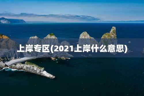 上岸专区(2021上岸什么意思)