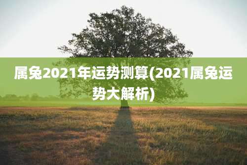 属兔2021年运势测算(2021属兔运势大解析)