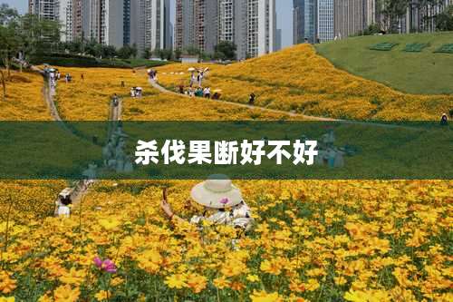 杀伐果断好不好