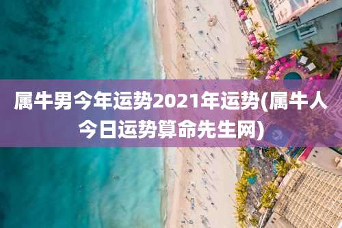 属牛男今年运势2021年运势(属牛人今日运势算命先生网)