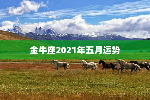 金牛座2021年五月运势