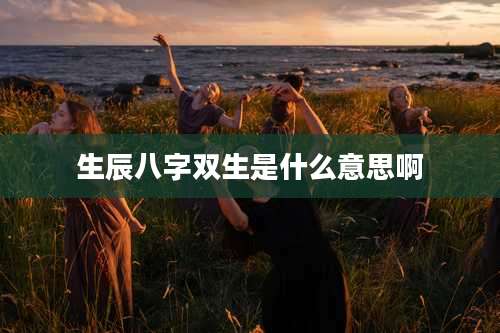 生辰八字双生是什么意思啊