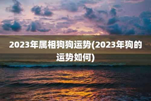 2023年属相狗狗运势(2023年狗的运势如何)