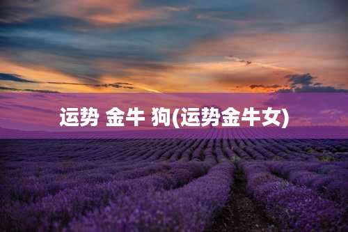 运势 金牛 狗(运势金牛女)