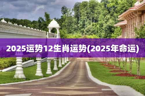 2025运势12生肖运势(2025年命运)