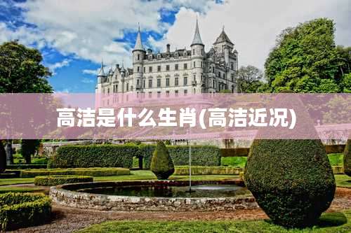 高洁是什么生肖(高洁近况)