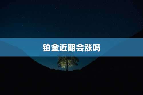 铂金近期会涨吗