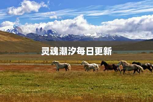 灵魂潮汐每日更新