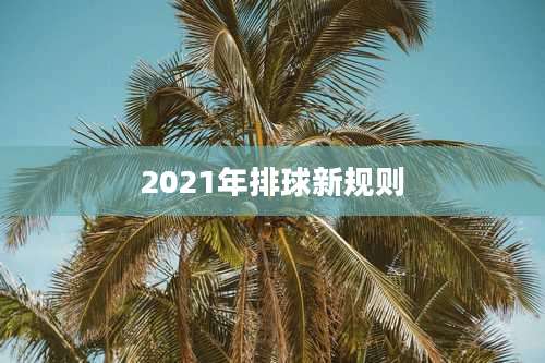 2021年排球新规则