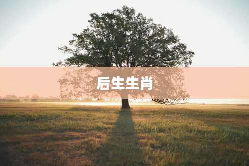后生生肖
