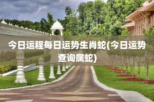 今日运程每日运势生肖蛇(今日运势查询属蛇)