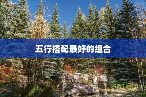 五行搭配最好的组合