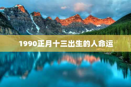 1990正月十三出生的人命运