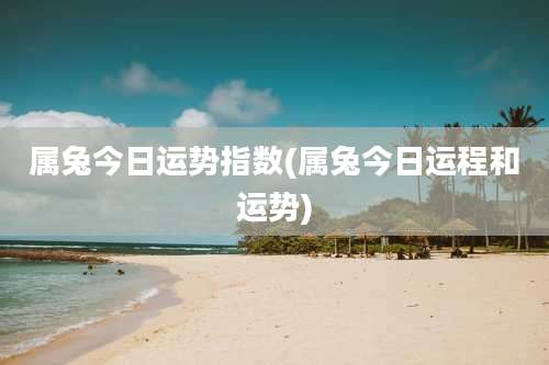 属兔今日运势指数(属兔今日运程和运势)