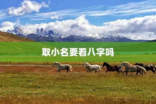 取小名要看八字吗