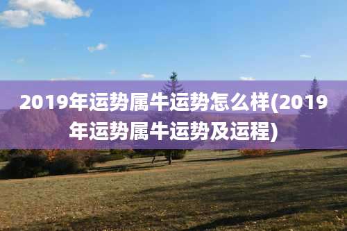 2019年运势属牛运势怎么样(2019年运势属牛运势及运程)
