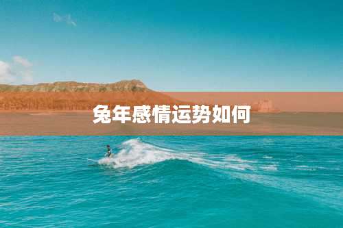 兔年感情运势如何