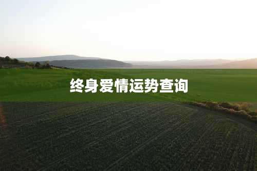 终身爱情运势查询
