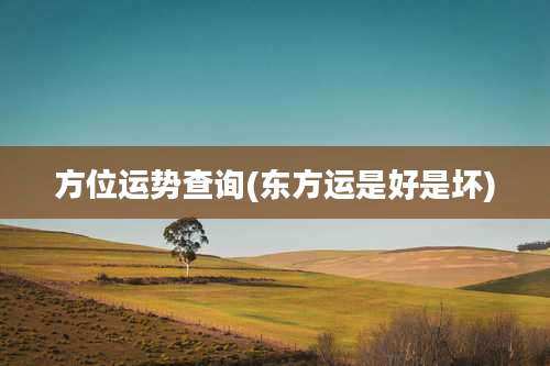 方位运势查询(东方运是好是坏)