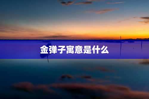 金弹子寓意是什么