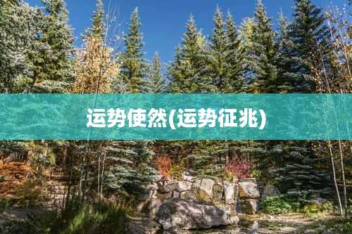 运势使然(运势征兆)