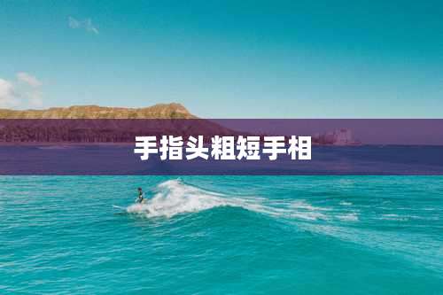 手指头粗短手相