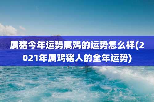 属猪今年运势属鸡的运势怎么样(2021年属鸡猪人的全年运势)