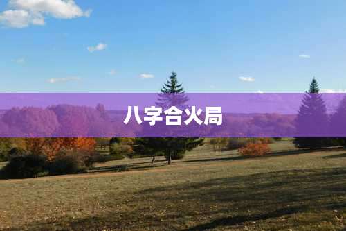 八字合火局
