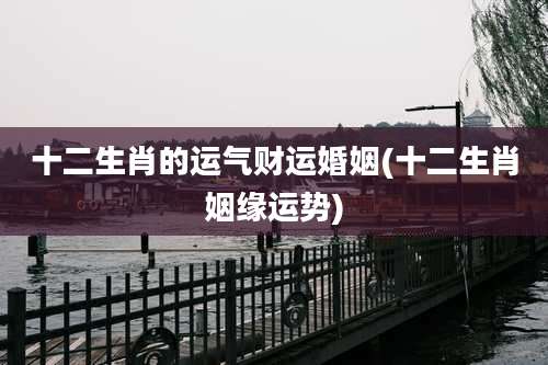 十二生肖的运气财运婚姻(十二生肖姻缘运势)