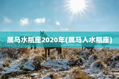 属马水瓶座2020年(属马人水瓶座)