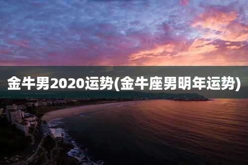 金牛男2020运势(金牛座男明年运势)