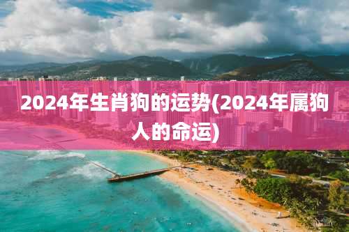 2024年生肖狗的运势(2024年属狗人的命运)