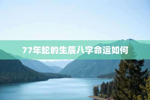 77年蛇的生辰八字命运如何