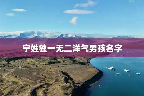 宁姓独一无二洋气男孩名字