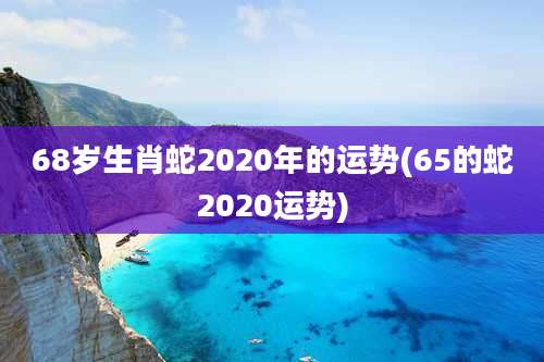 68岁生肖蛇2020年的运势(65的蛇2020运势)