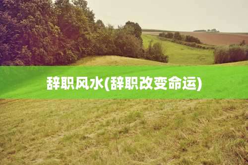 辞职风水(辞职改变命运)