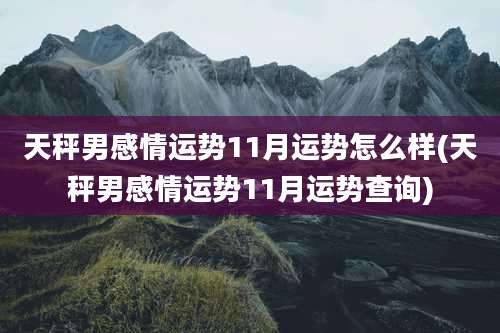 天秤男感情运势11月运势怎么样(天秤男感情运势11月运势查询)